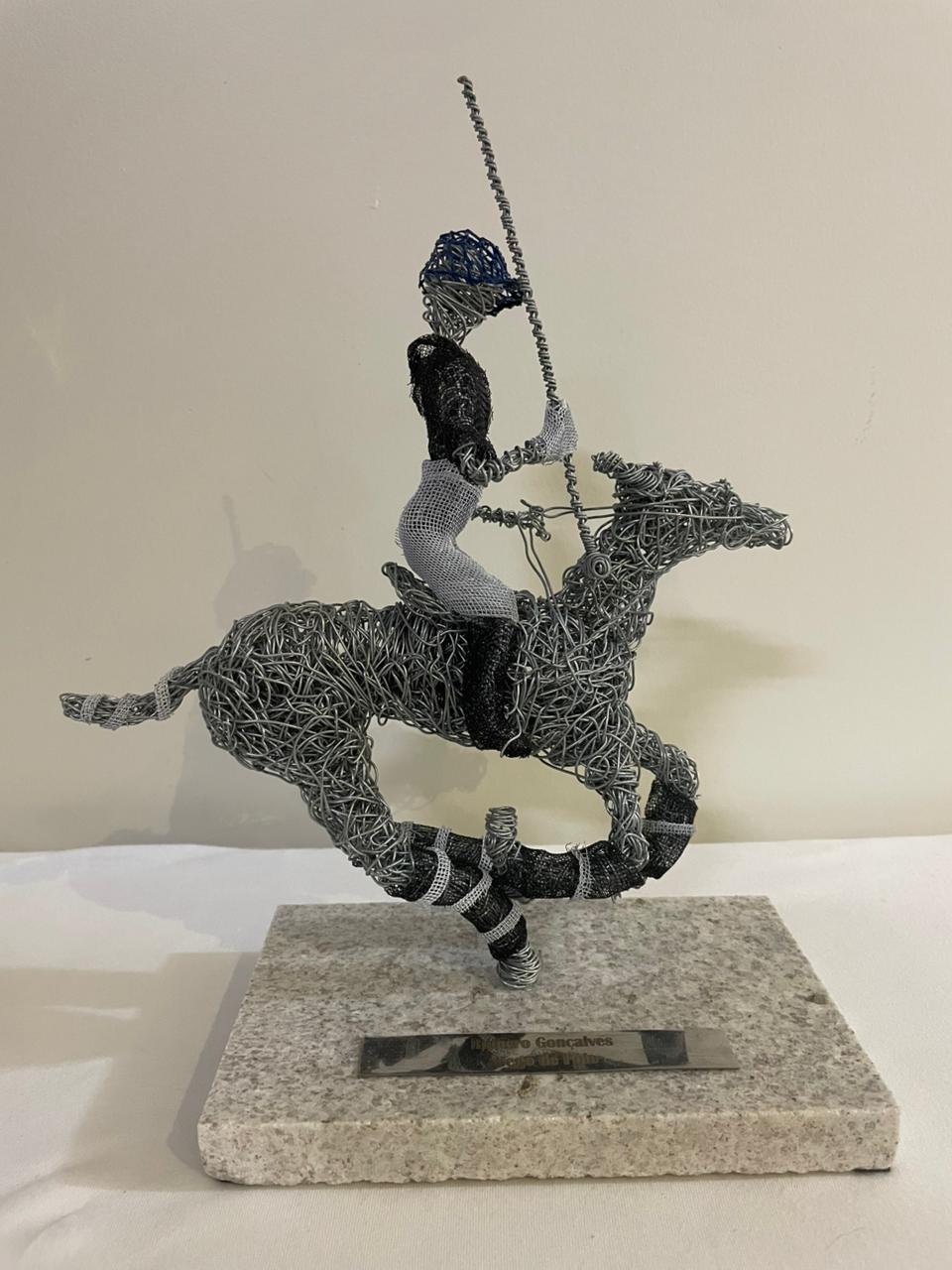 Polo1.jpg